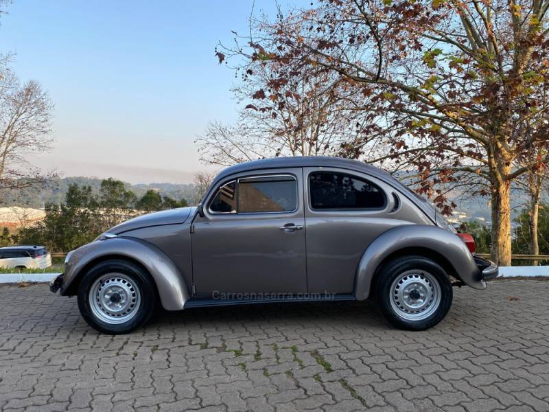 VOLKSWAGEN - FUSCA - 1984/1984 - Cinza - Sob Consulta