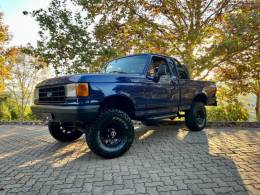 FORD - F-1000 - 1994/1994 - Azul - R$ 138.900,00